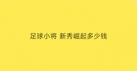 足球小将 新秀崛起多少钱